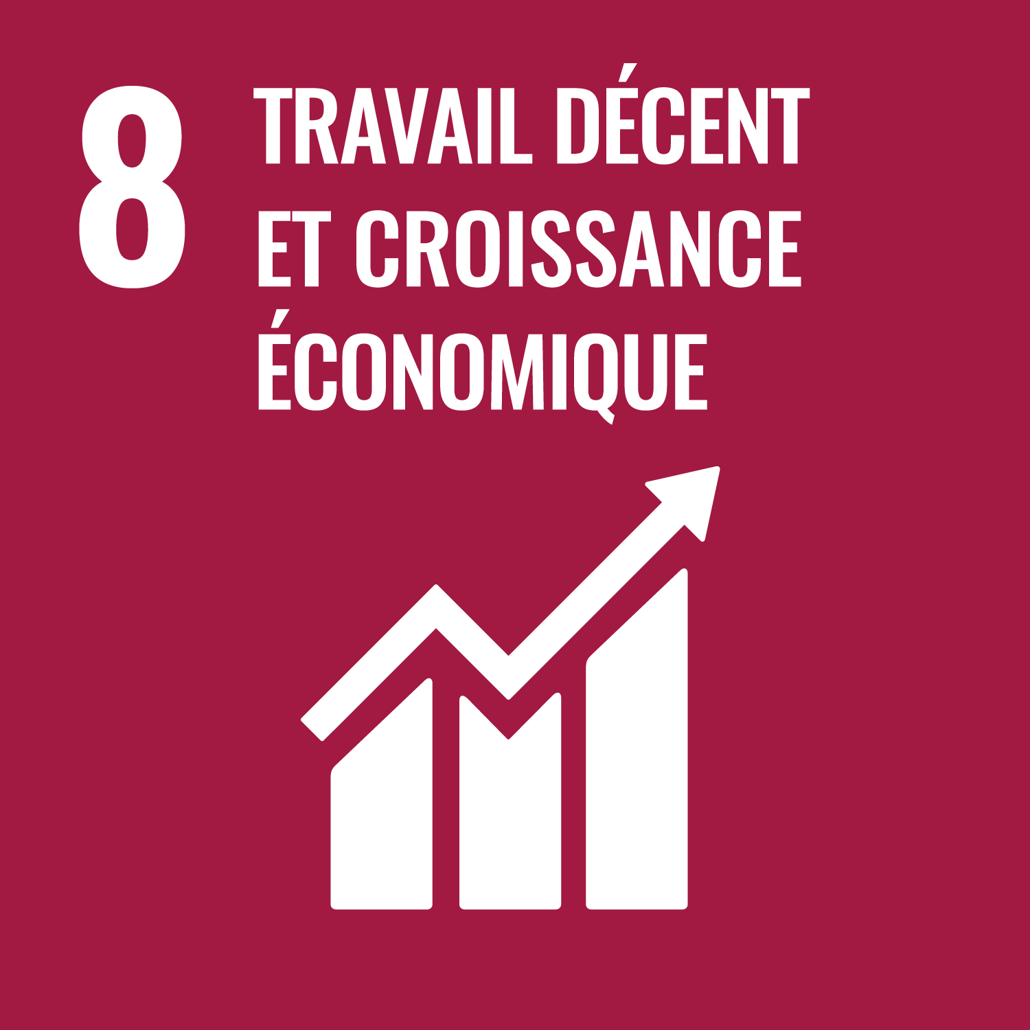 Objectif de Développement Durable de l'O.N.U. 8 : travail décent et croissance économique